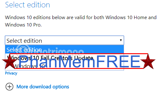 Chọn phiên bản Windows 10 cần tải