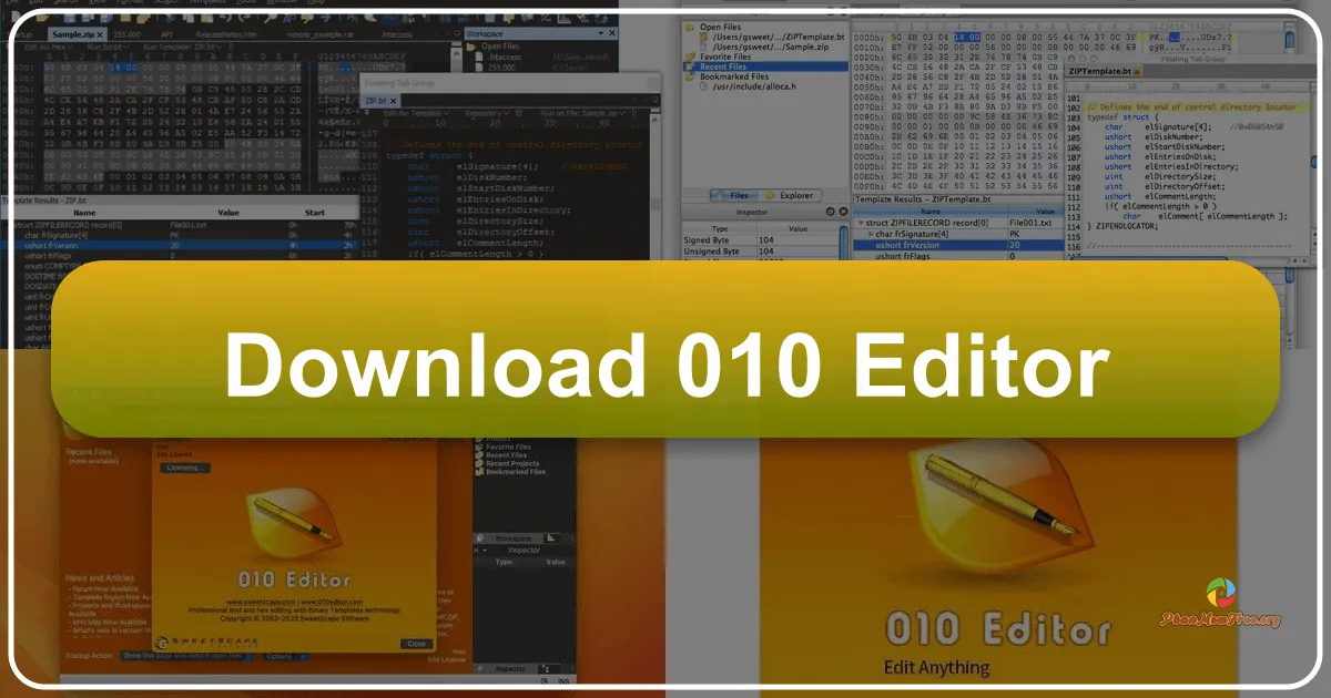010 Editor: The Definitive Binary and Hexadecimal Editing Solution for Windows