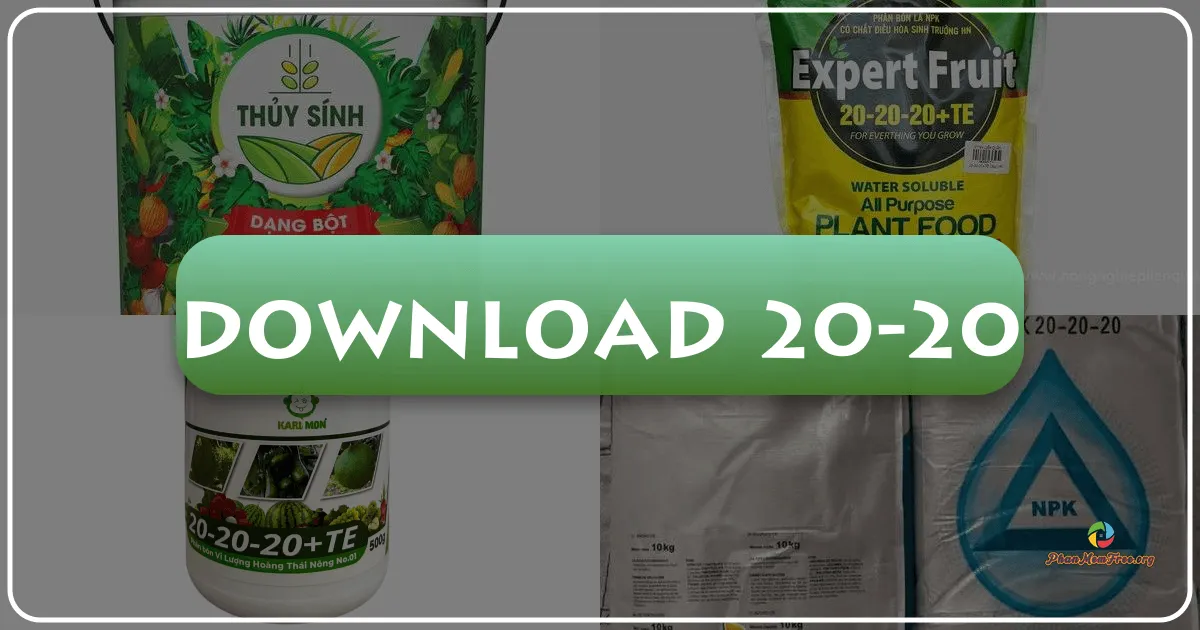 20/20: A Comprehensive Review of a Windows-Based Graphics Editor