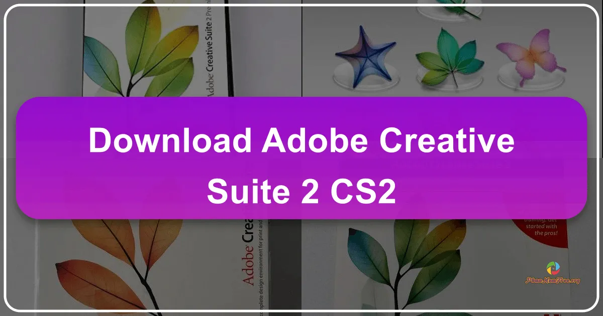 Adobe Creative Suite 2 (CS2): A Legacy Suite Reexamined