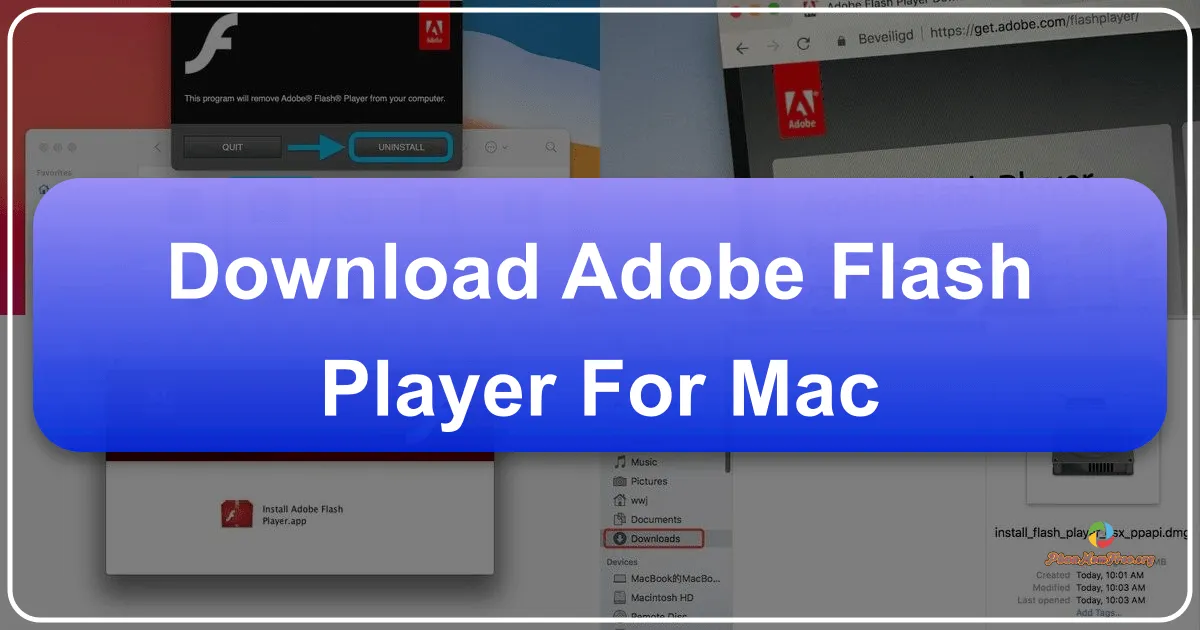 Adobe Flash Player cho Mac: Hướng dẫn tải và cài đặt