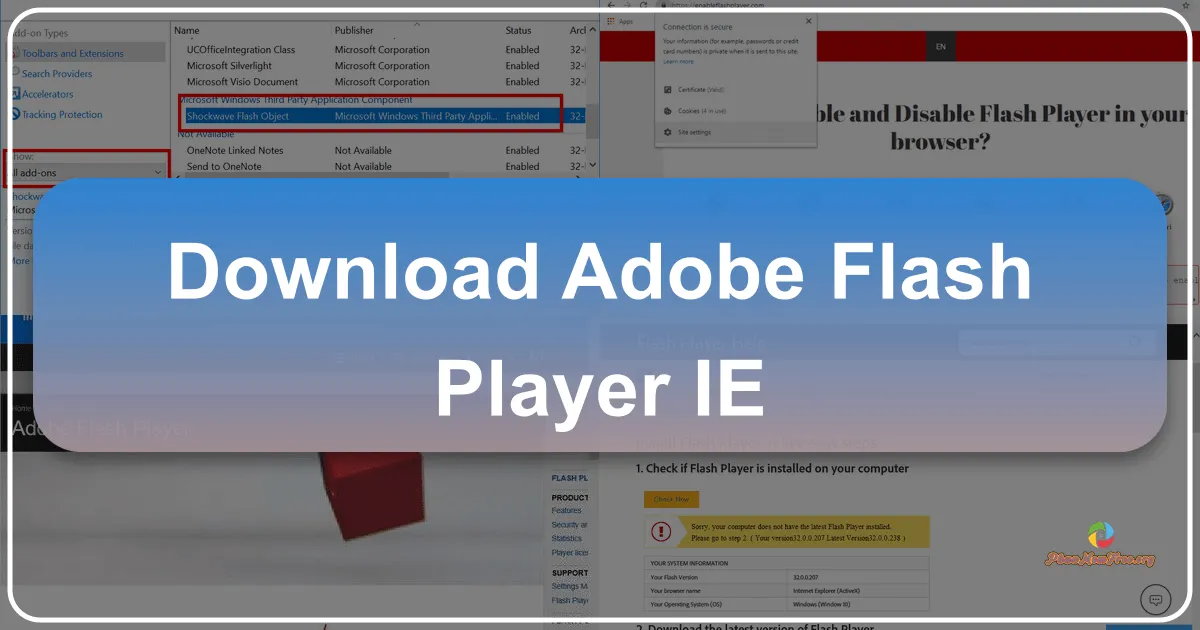 Adobe Flash Player (for IE): A Retrospective