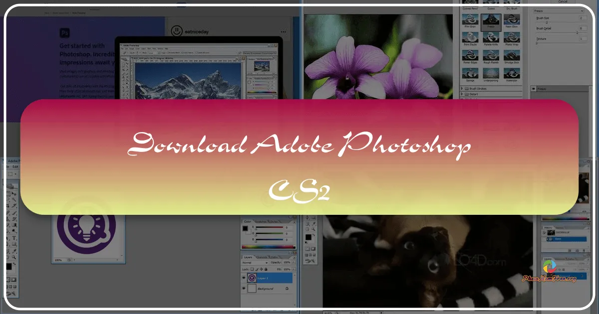 Adobe Photoshop CS2: Bản Chỉnh Sửa Ảnh Chuyên Nghiệp Miễn Phí