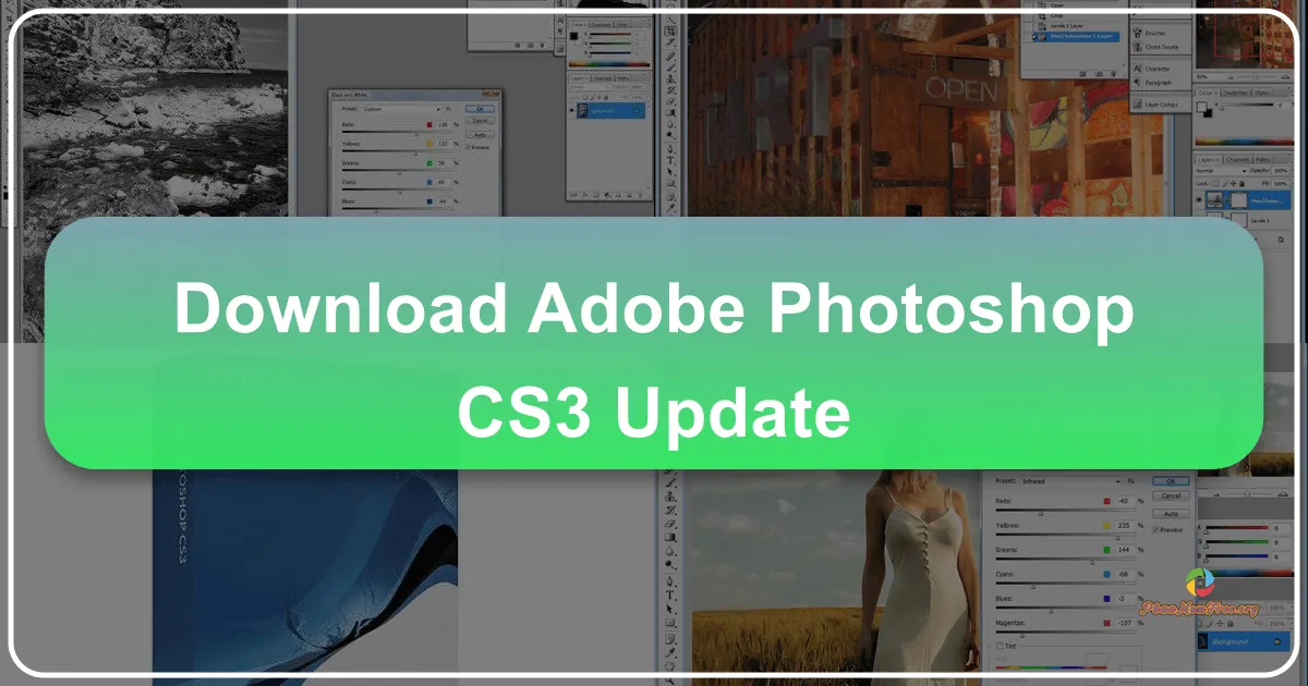 Adobe Photoshop CS3 Update: Enhancing Stability and Performance