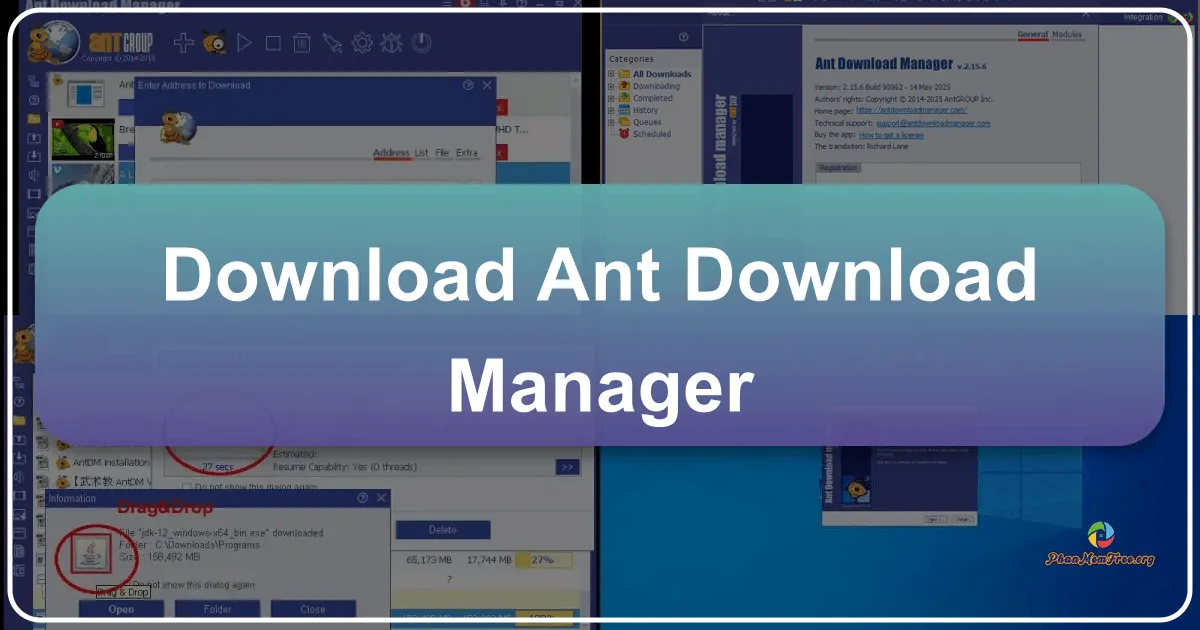 Ant Download Manager and Video Downloader: A Comprehensive Review