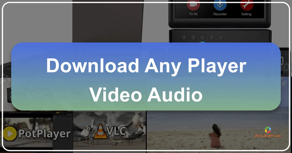 Any Player: Video & Audio – A Comprehensive Review