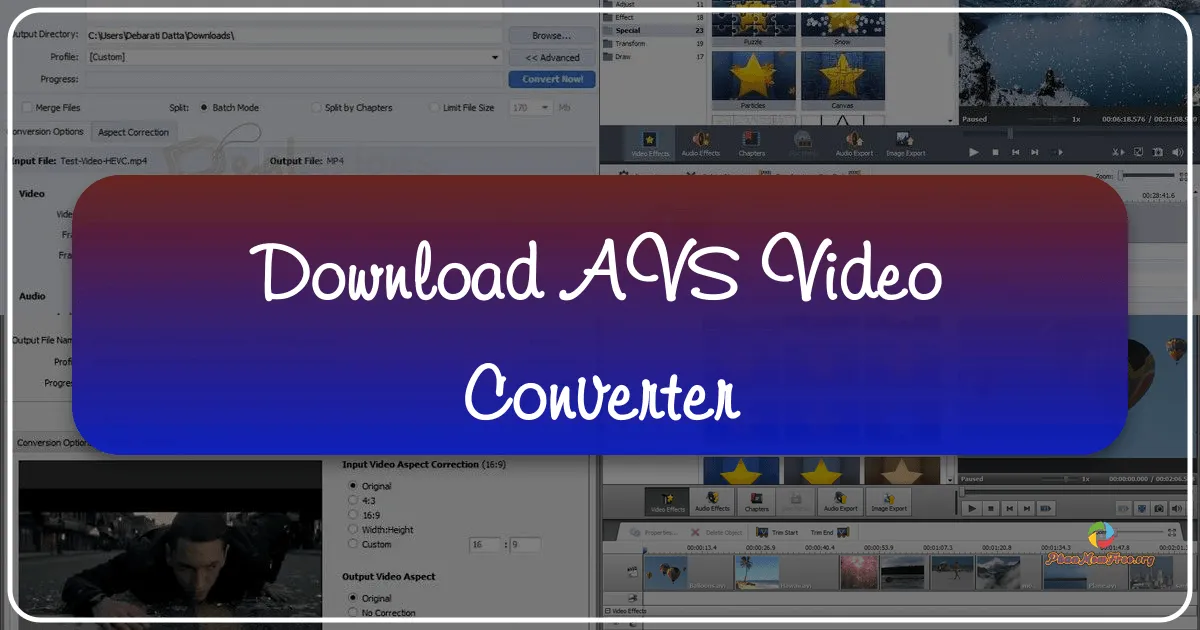 AVS Video Converter: A Comprehensive Review