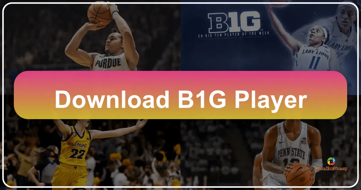B1G Player: A Comprehensive Android Media Player
