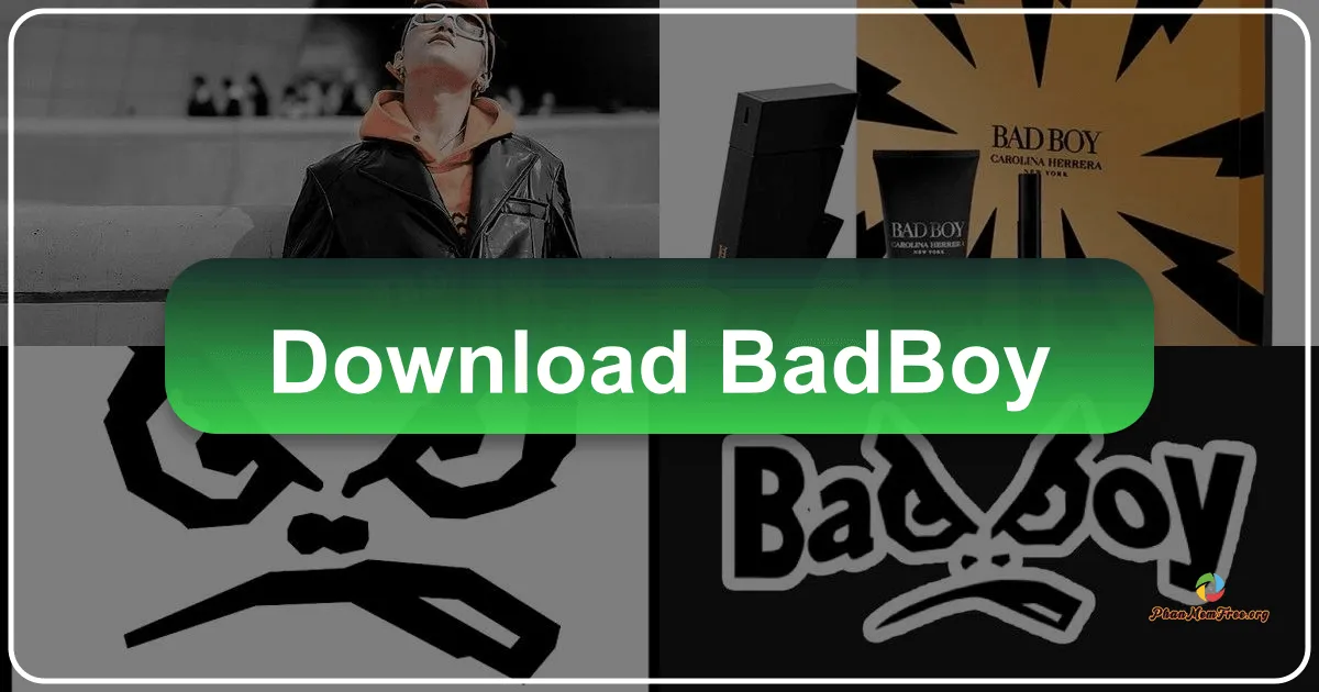 Badboy: A Powerful Yet User-Friendly Website Tester