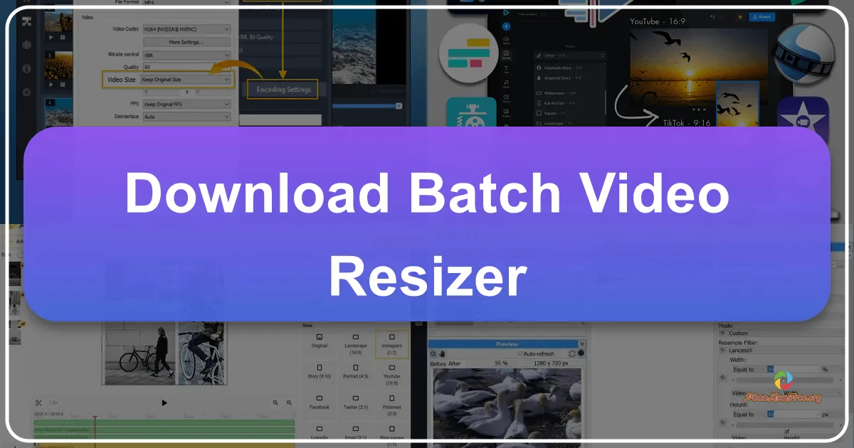Batch Video Resizer: A Comprehensive Review