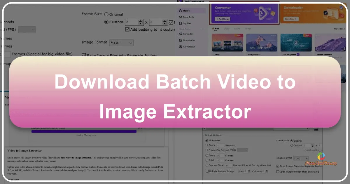 Batch Video to Image Extractor: A Comprehensive Guide