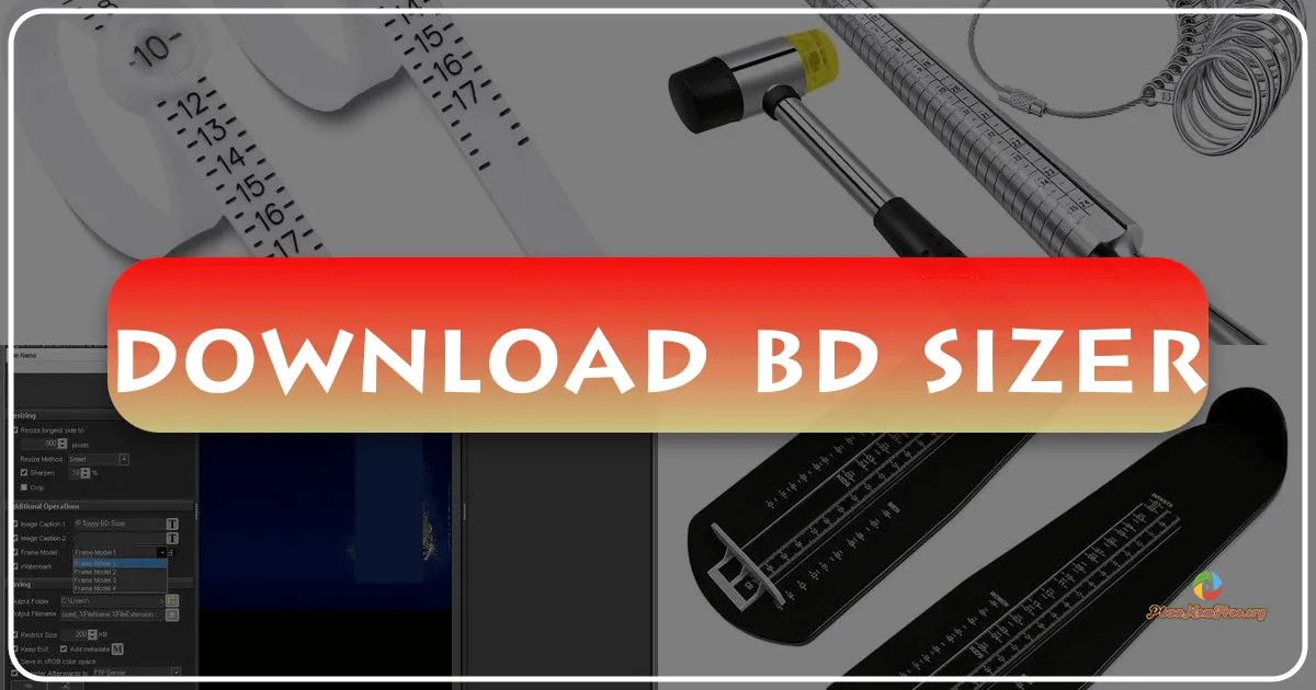 BD Sizer: A Comprehensive Guide to This Image Resizing Tool