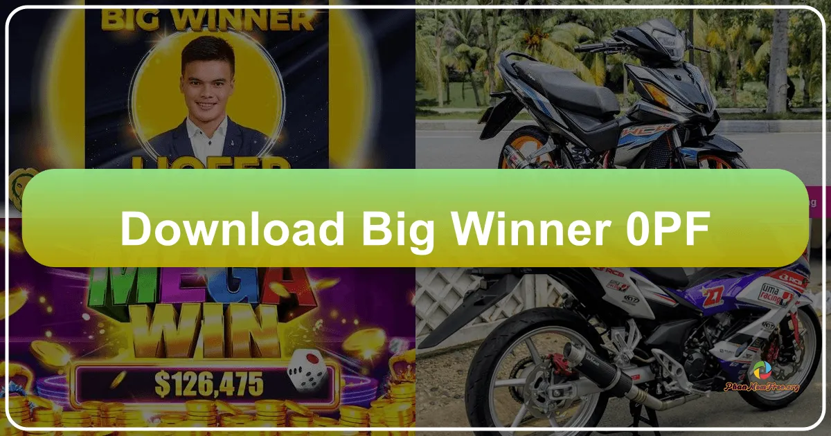 Big Winner: A Comprehensive Review of a Popular Card Game