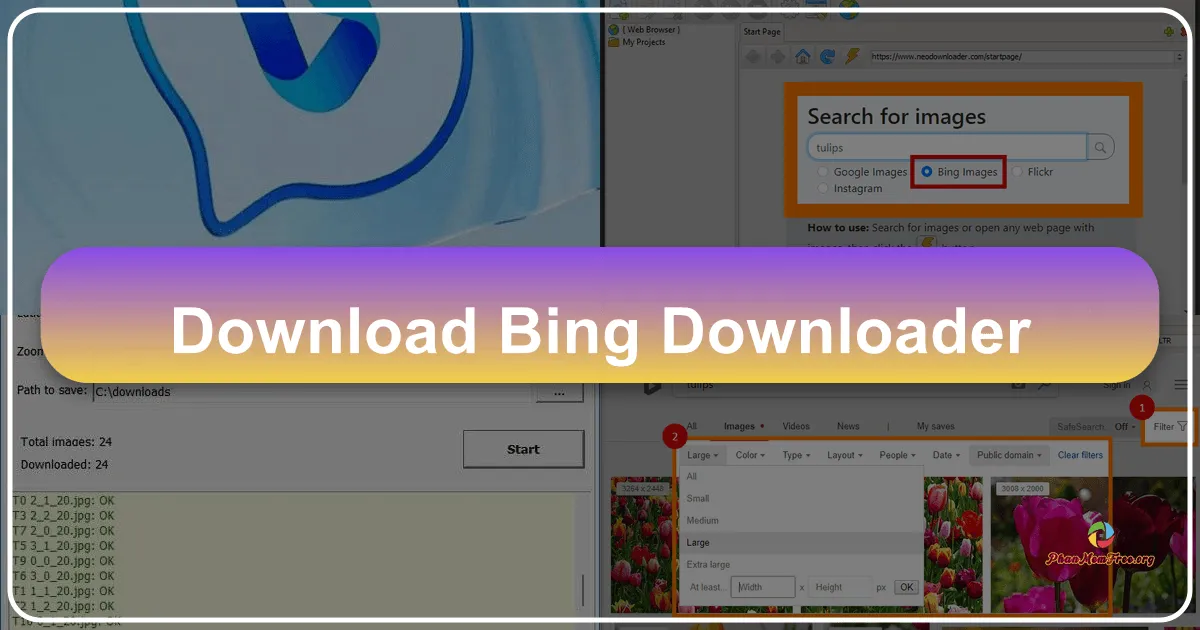 Bing Downloader: A Quick and Easy Way to Grab Stunning Bing Backgrounds