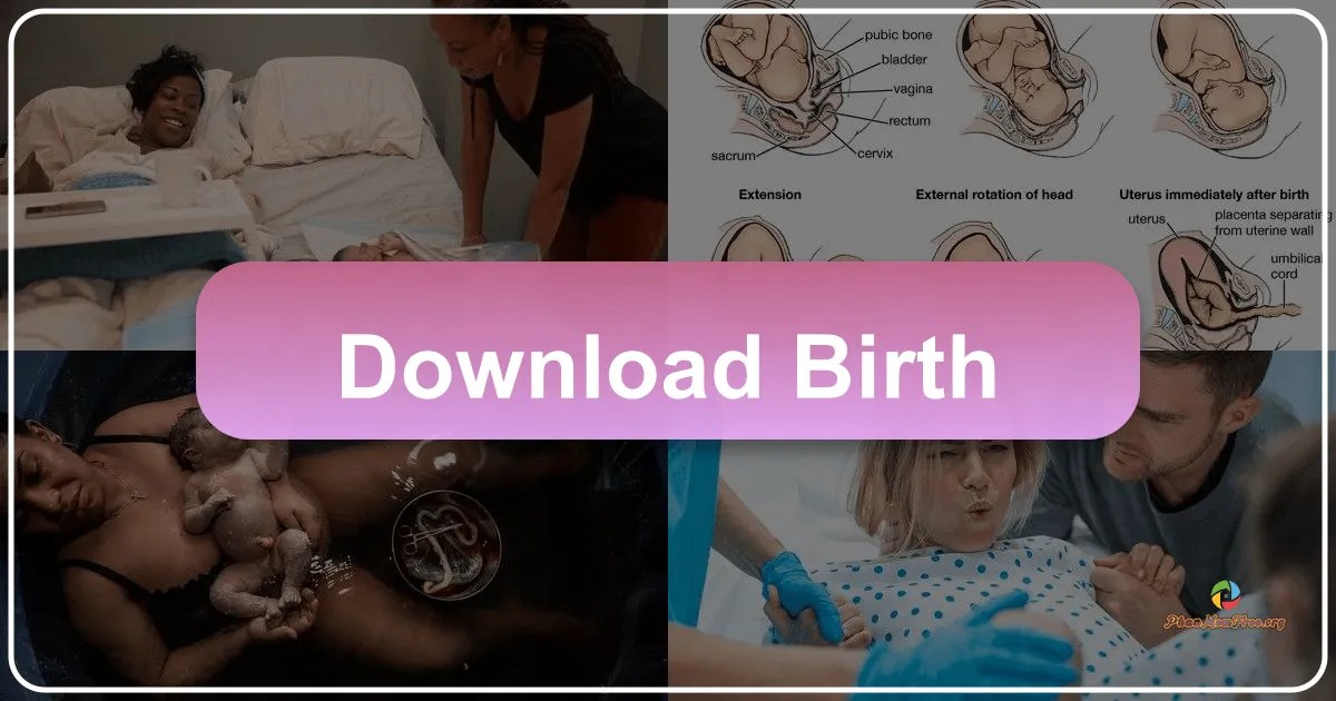 Birth: A Unique Puzzle Adventure Game Exploring Existential Themes