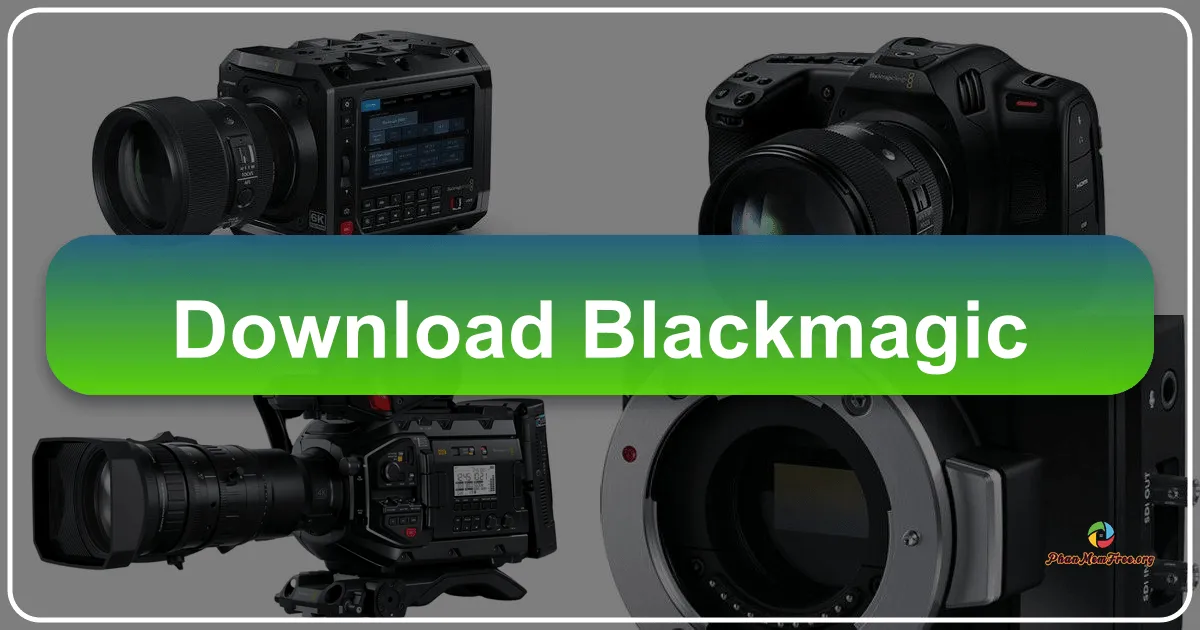 BlackMagic: A Retrospect on a Windows Photo Colorization Tool