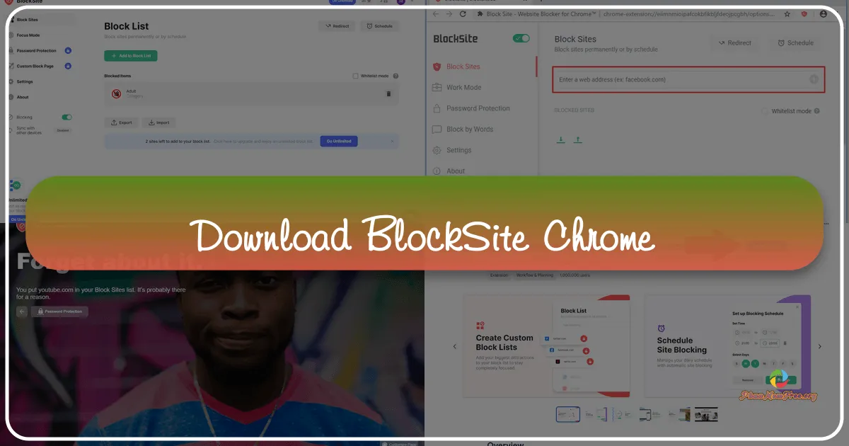 BlockSite: A Comprehensive Review of the Website Blocking Application