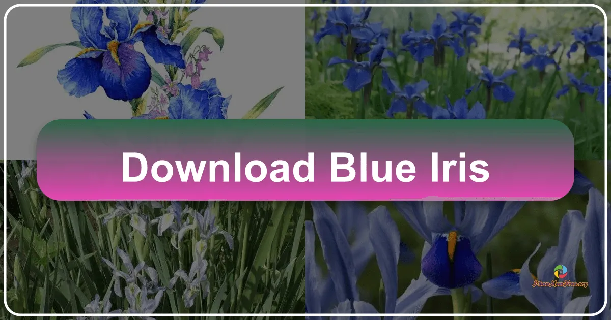 Blue Iris: Hệ thống giám sát video chuyên nghiệp cho ngôi nhà của bạn