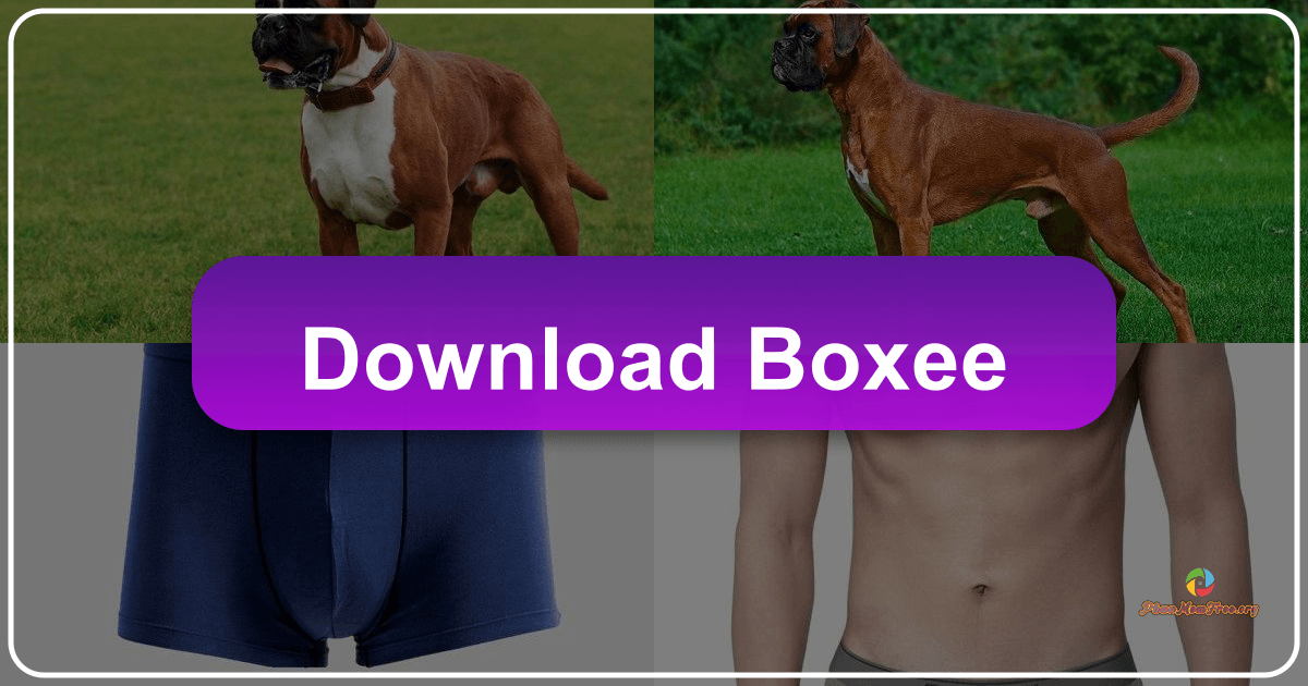 Boxee: A pioneering multimedia center that unified local and online content into a single, user-friendly interface experience. /images/download-boxee.png