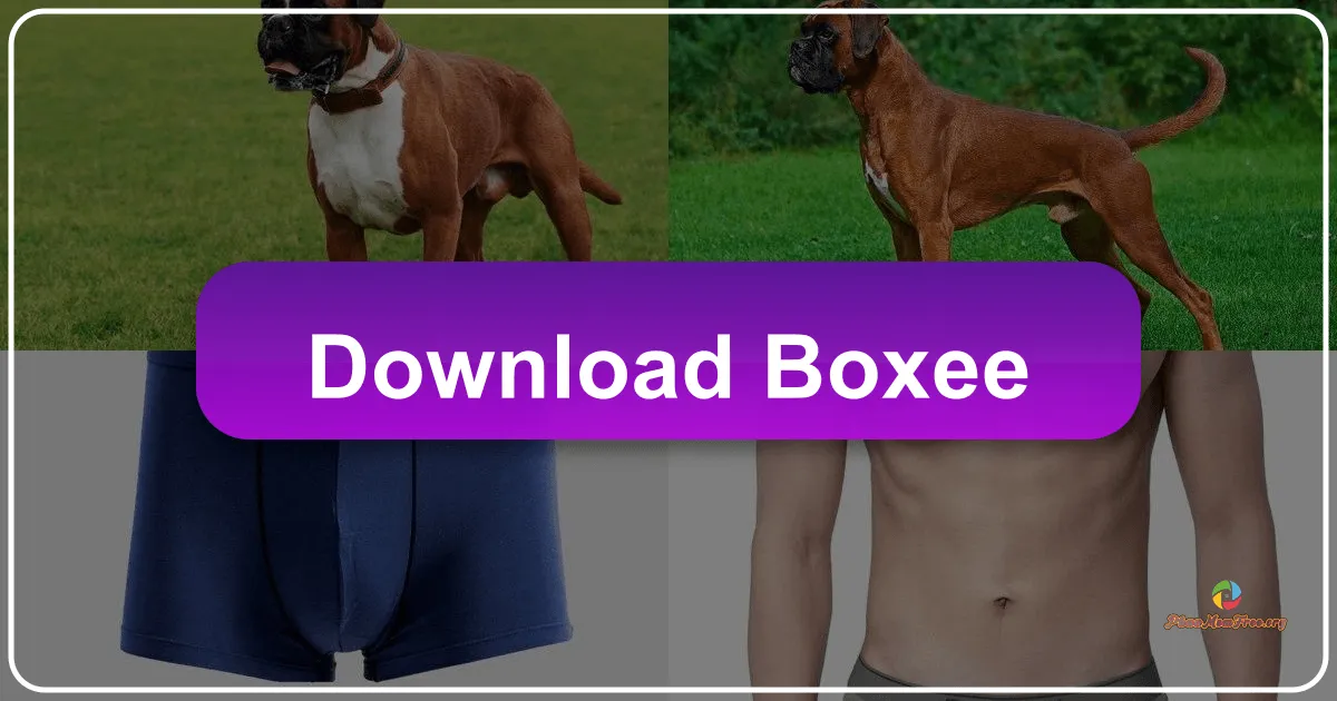 Boxee: Your All-in-One Multimedia Center