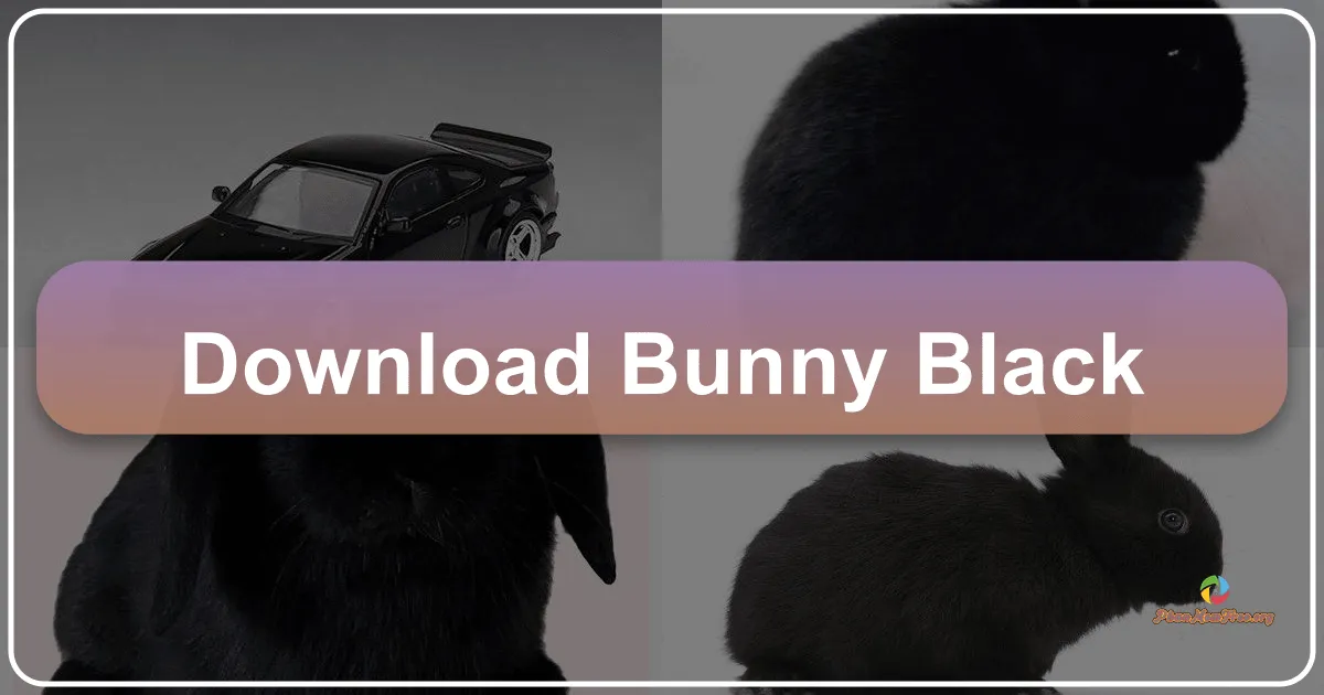 Bunny Black: A Retro RPG Adventure (No Longer Available)