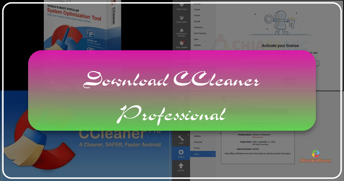 /images/download-ccleaner-professional.png