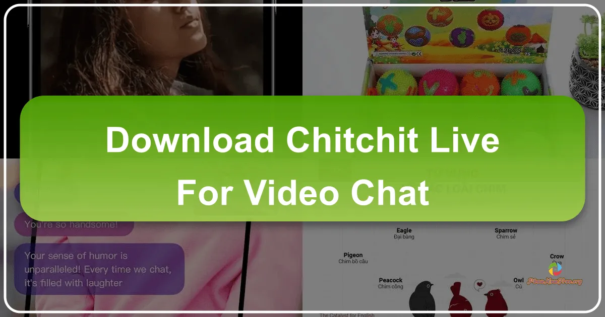 Chitchit - Live for Video Chat: A Global Connection at Your Fingertips