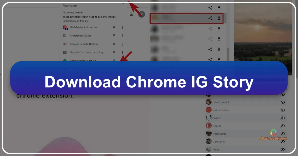Chrome IG Stories: A Deep Dive into a Game-Changing Instagram Web Extension