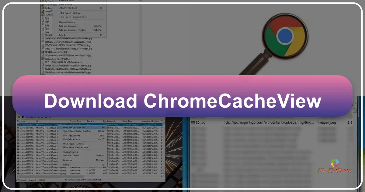 ChromeCacheView: A Deep Dive into a Free Chrome Cache Viewer