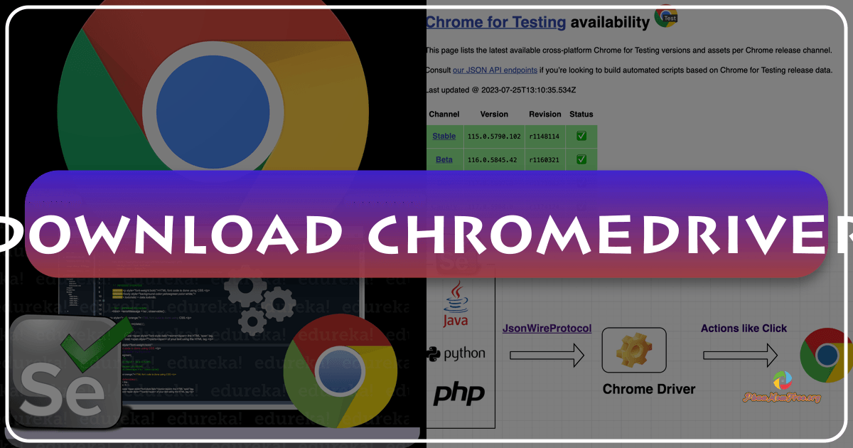 ChromeDriver: A tool for automating web application testing with comprehensive capabilities. /images/download-chromedriver.png