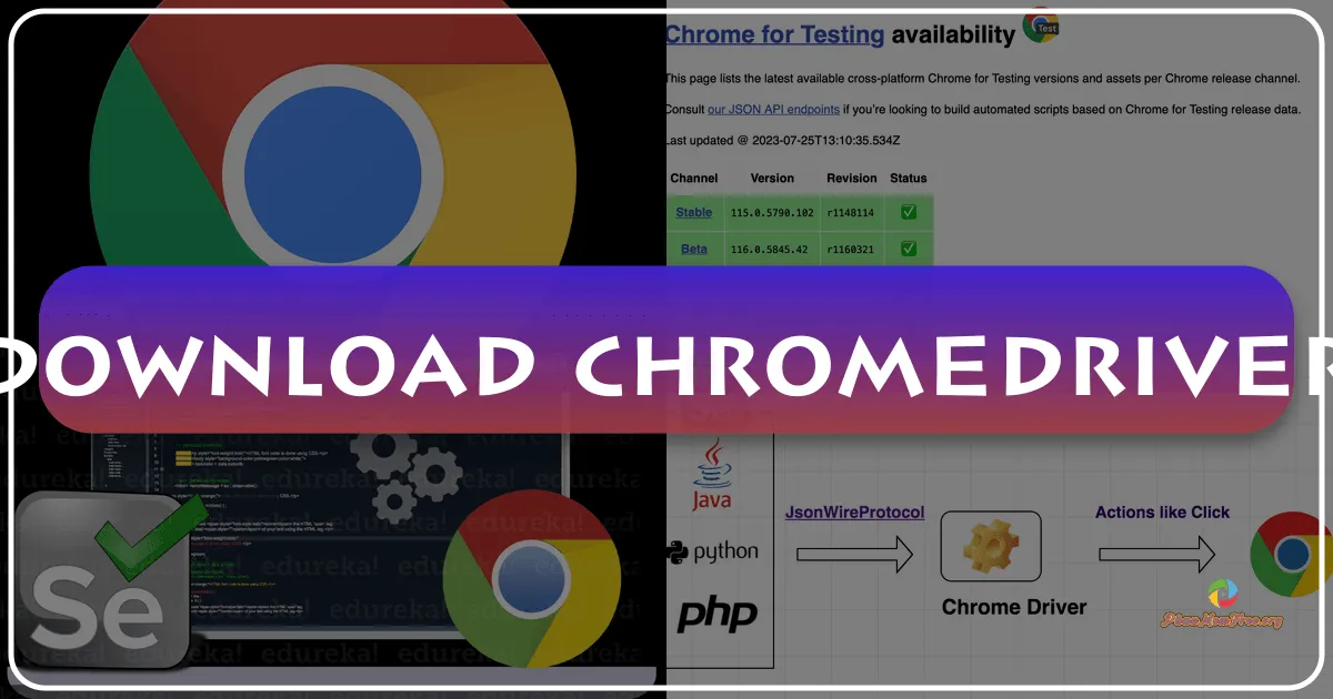 ChromeDriver: Your Automated Web Application Testing Companion