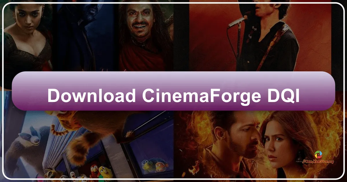 CinemaForge: A Retrospective on a Video Converter