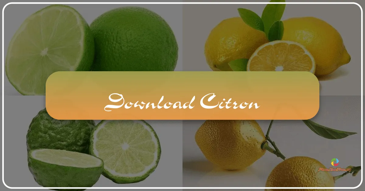 Citron: A Powerful Open-Source Nintendo Switch Emulator for Windows