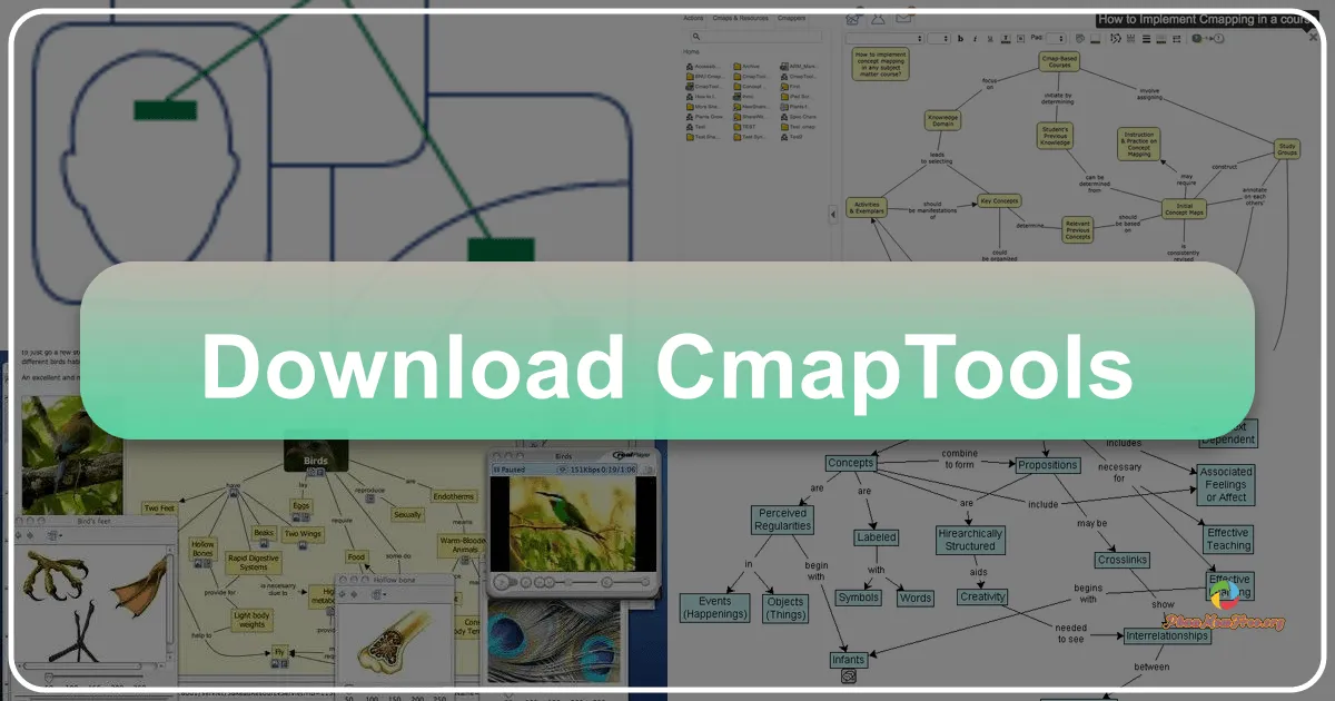 CmapTools: A Comprehensive Guide to Concept Mapping Software