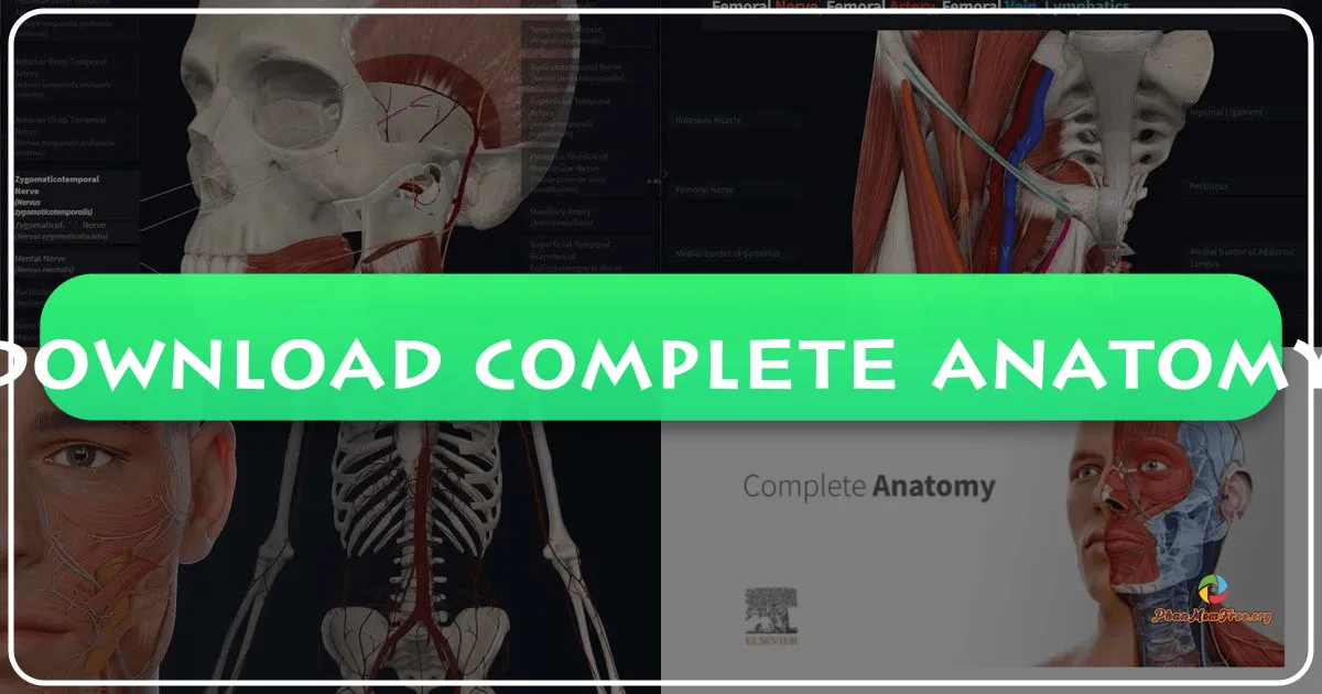 Complete Anatomy 2024: Atlas Giải Phẫu 3D Toàn Diện và Công Cụ Học Tập Độc Đáo
