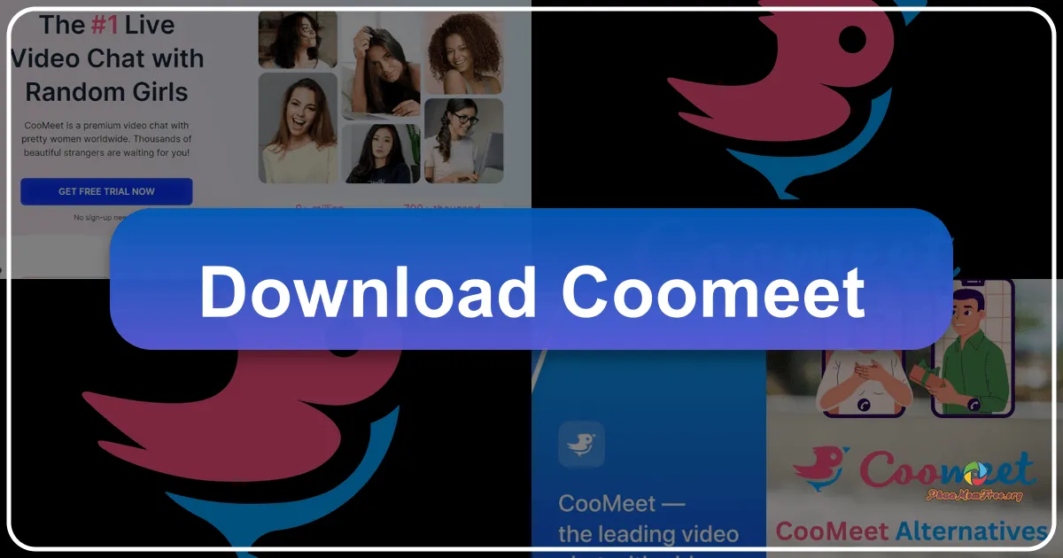 CooMeet: A Deep Dive into Anonymous Video Chat Dating