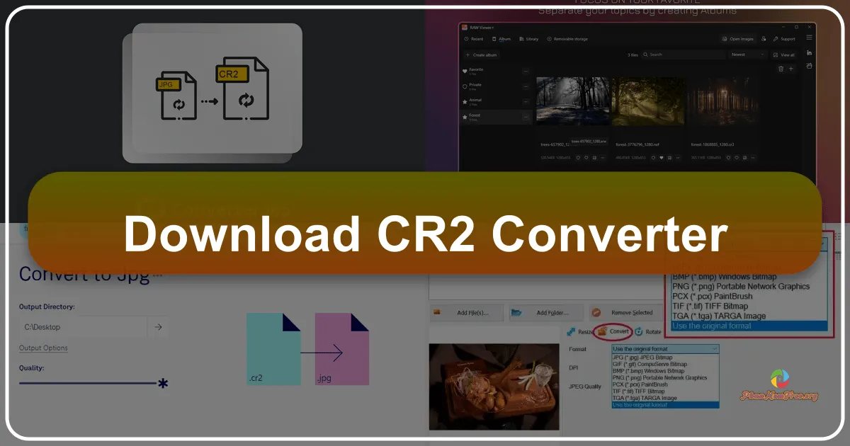 CR2 Converter: A Comprehensive Guide