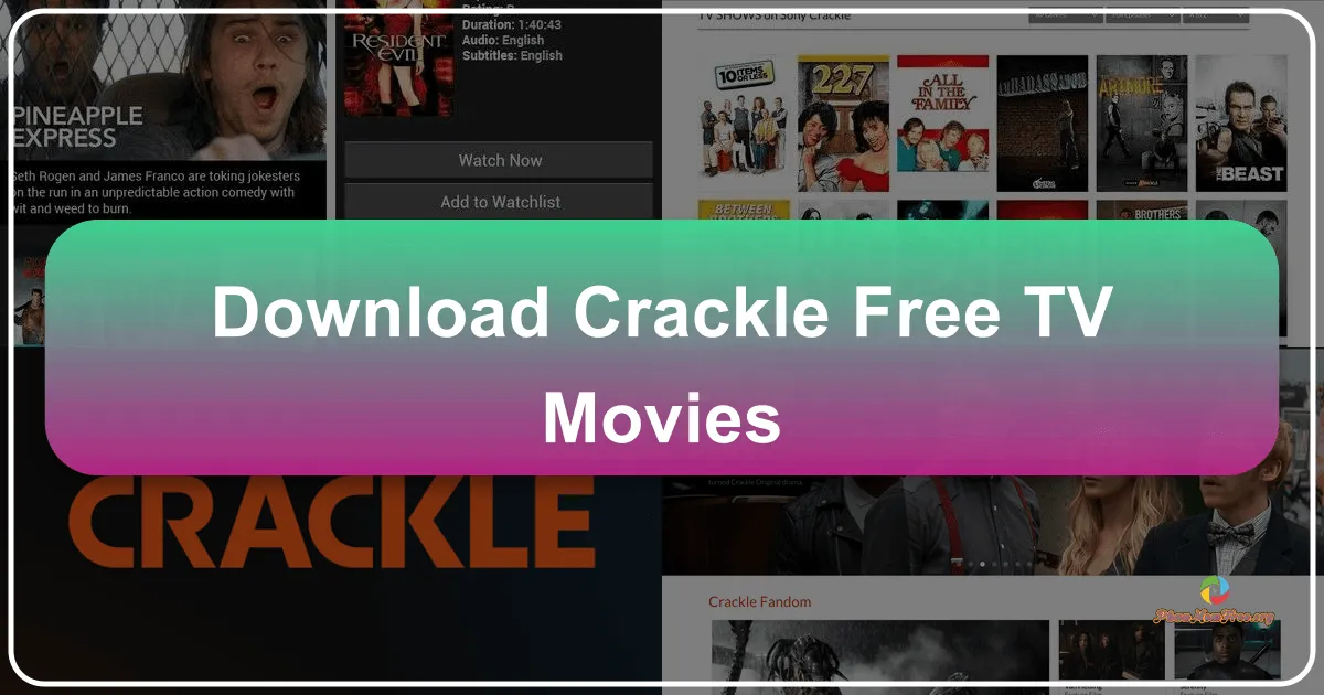Crackle: A Free Streaming Service for Movies and TV Shows