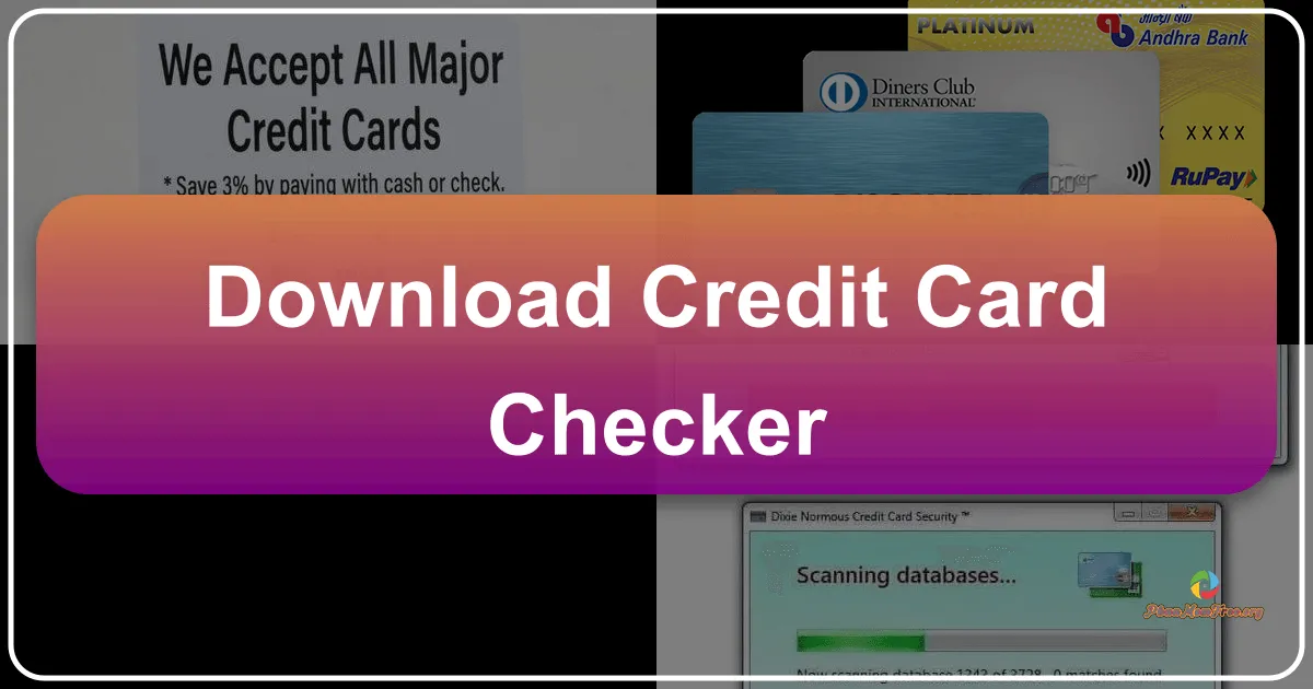 Credit Card Checker: Ensuring Transactional Integrity and Digital Security
