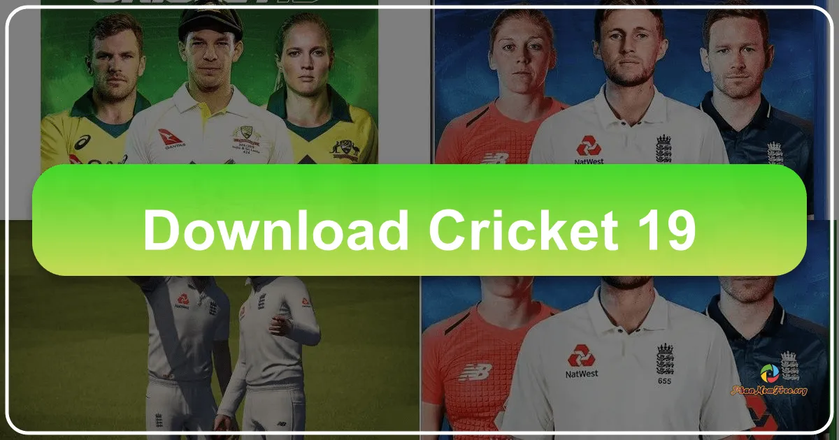 Cricket 19: A Deep Dive into the Gameplay and Features