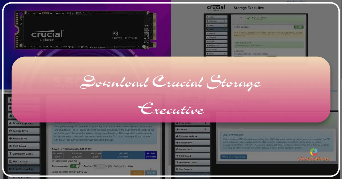Crucial Storage Executive: Optimizing Your SSD Performance