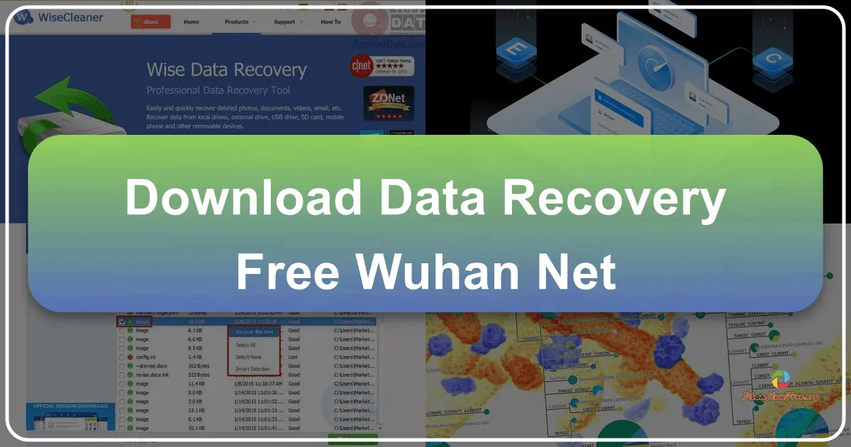 Data Recovery Free: A Comprehensive Review of Wuhan Net Power Technology's Data Recovery Software