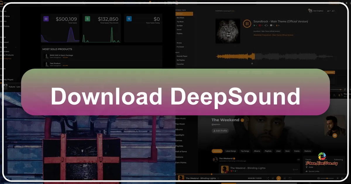 DeepSound: A Comprehensive Guide to Secure Multimedia File Hiding