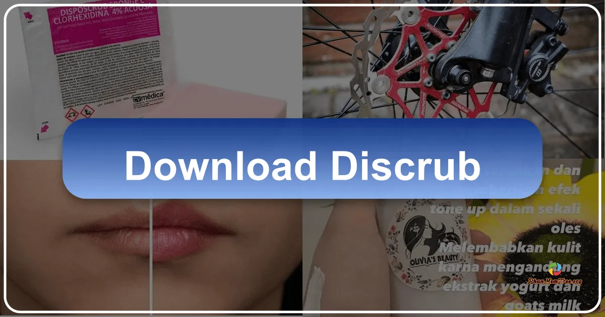 Discrub: A Powerful Discord Data Management Tool