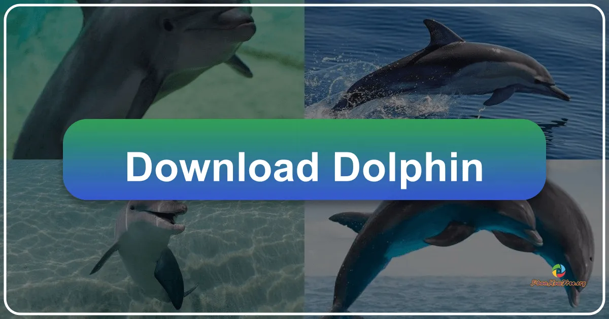 Dolphin Emulator: Cánh Cửa Mở Ra Thế Giới Game Nintendo Huyền Thoại Trên Máy Tính