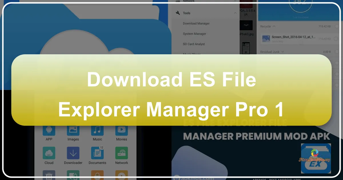 ES File Explorer/Manager PRO: A Comprehensive Review