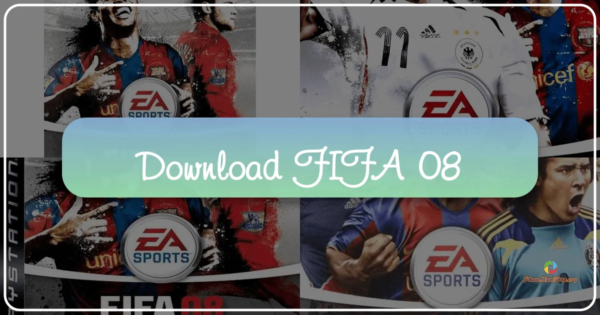 FIFA 08: The Beautiful Game Evolved