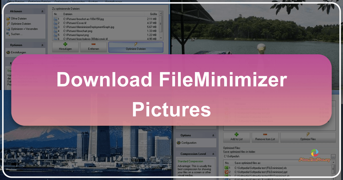 /images/download-fileminimizer-pictures.png