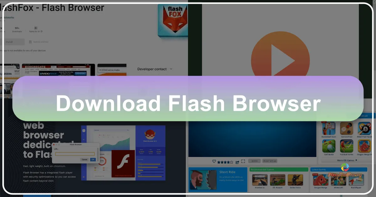 Flash Browser: A Comprehensive Review