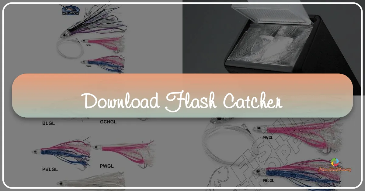 Flash Catcher: A Journey into the Archives of Web Animation and Digital Preservation